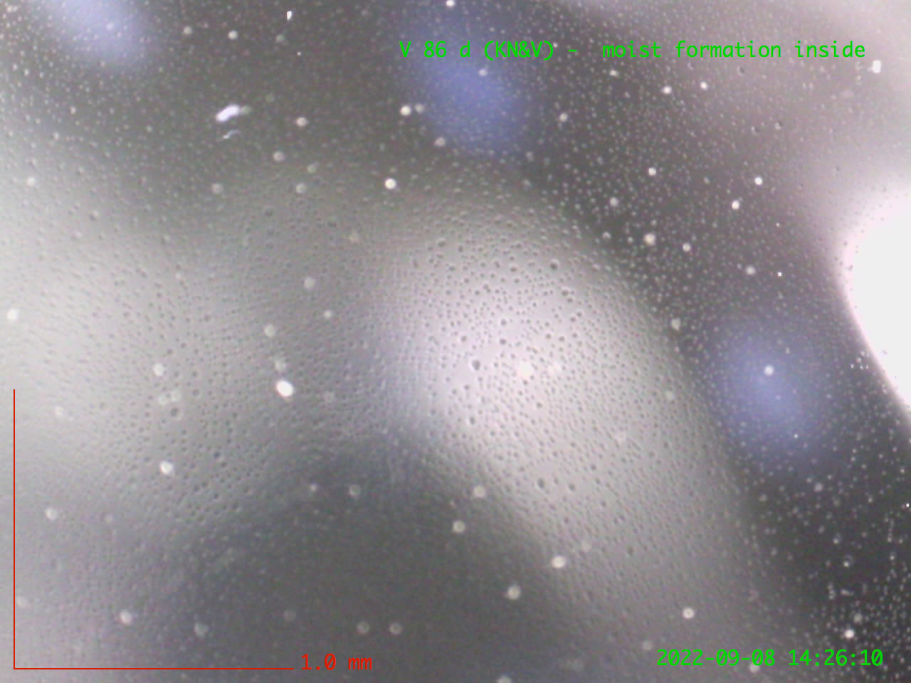 Moist formation inside